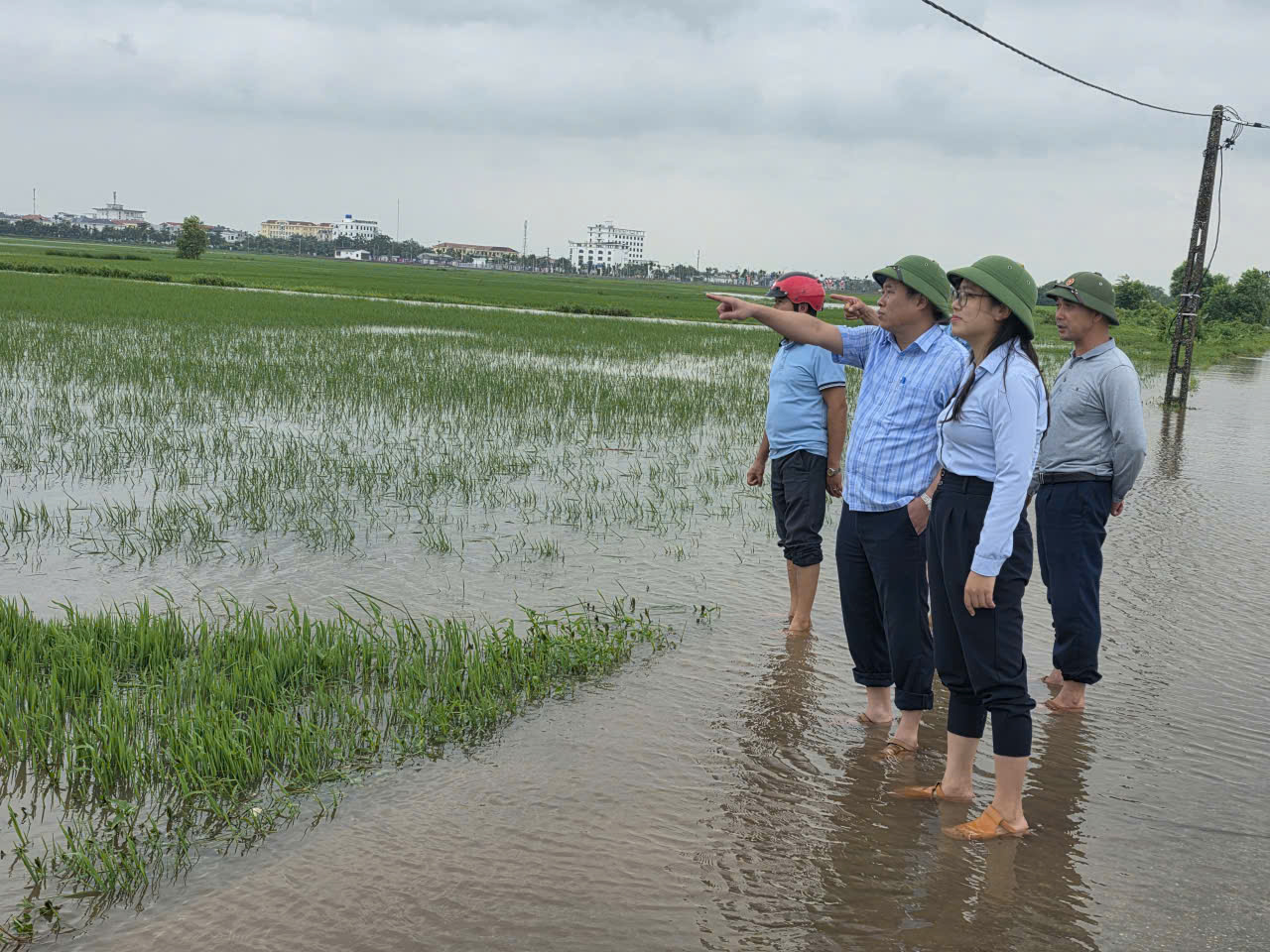Chủ động tiêu úng, bảo vệ sản xuất nông nghiệp trước mưa lớn do hoàn lưu Bão số 4