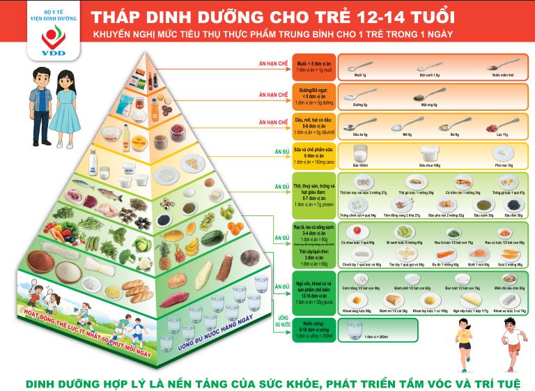 Triển khai phổ biến tài liệu truyền thông về dinh dưỡng