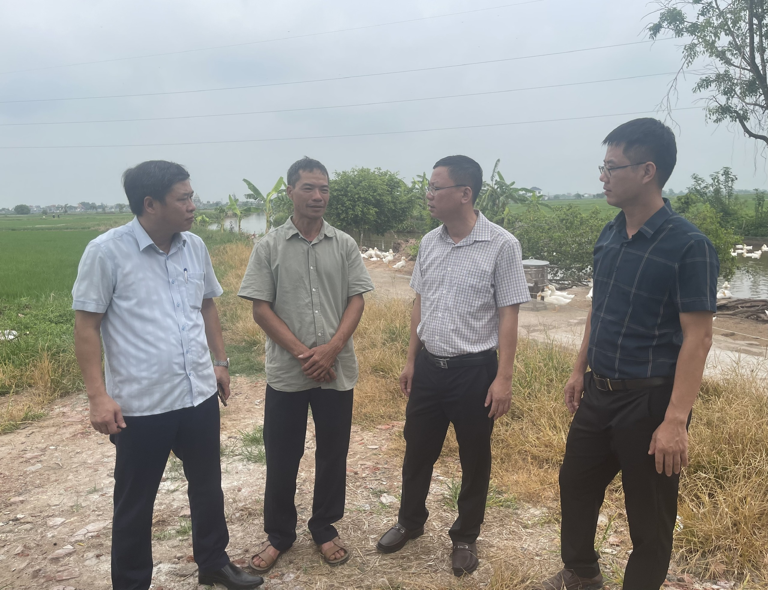 Kiểm tra việc thực hiện các biện pháp phòng, chống bệnh dịch tả lợn châu Phi trên địa bàn xã