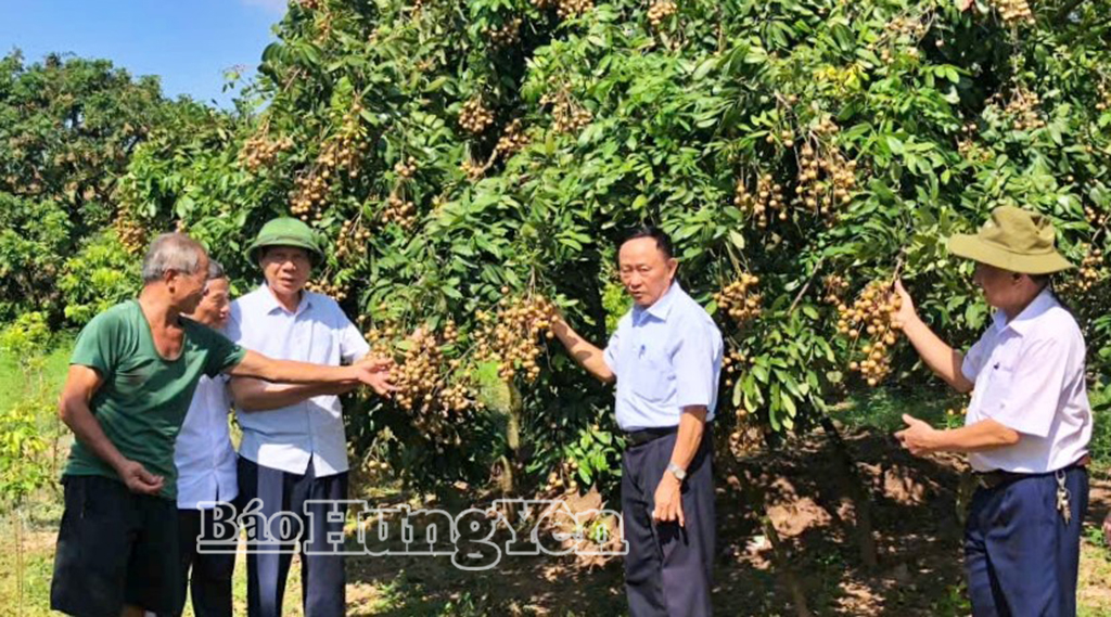 Tuần lễ hưởng ứng học tập suốt đời năm 2025 diễn ra từ ngày 1-7/10